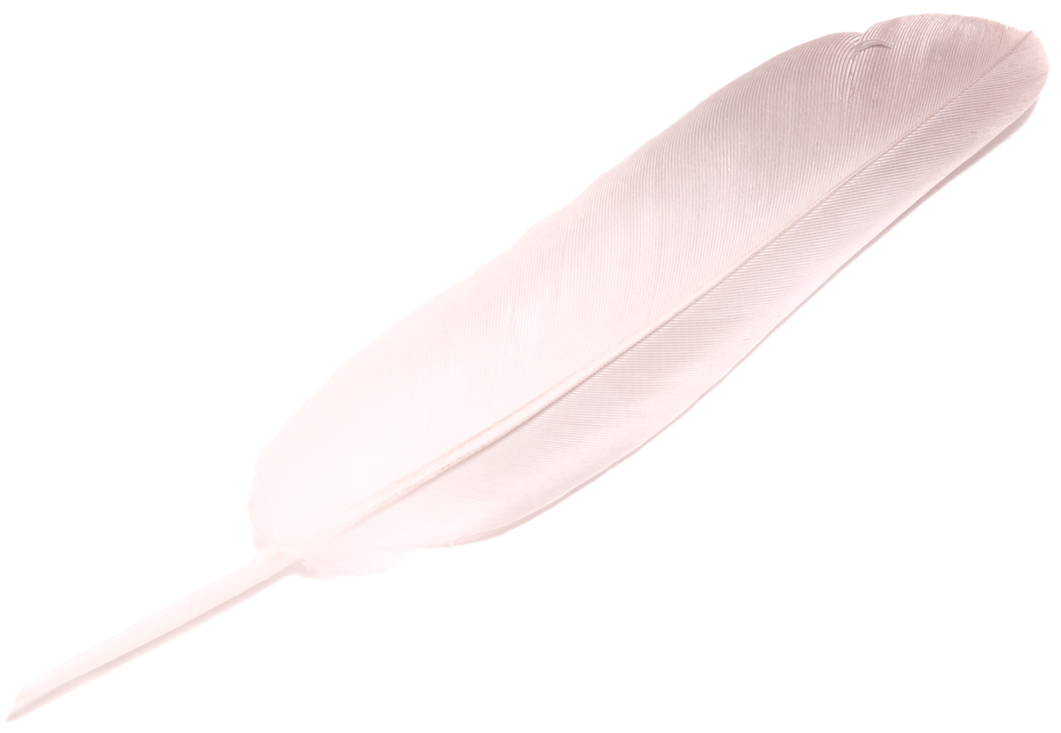 Nervous System Healing